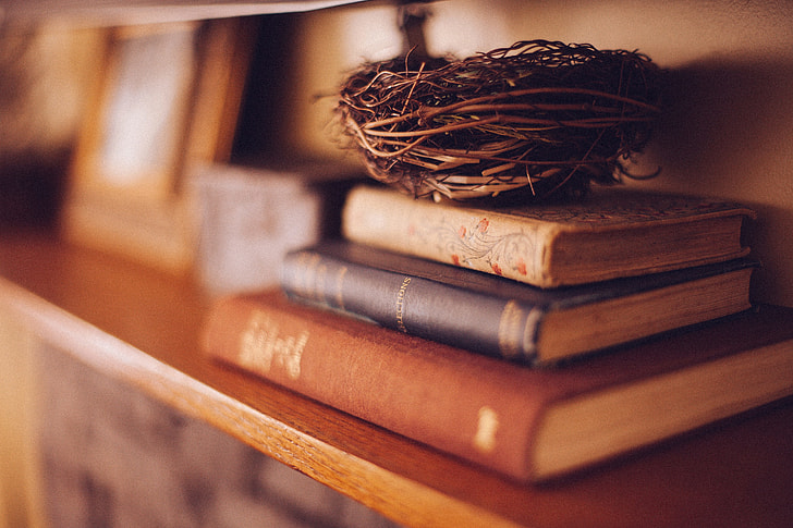 selective focus photography of three book filed with brown bird nest on top