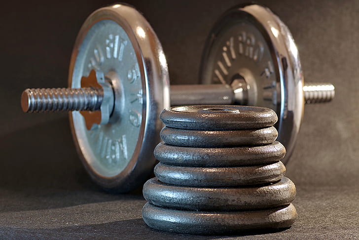 gray dumbbell and weighing plates closeup photo