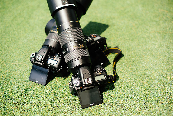 two black DSLR camera leaning on green grass plant