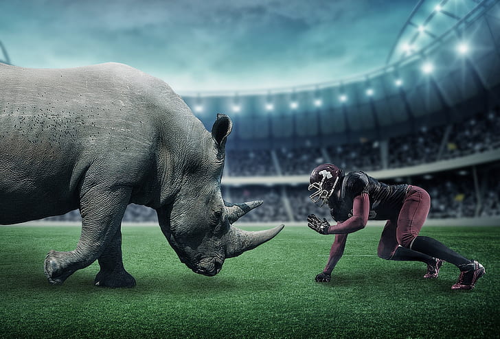 NFL player facing gray rhinoceros in stadium