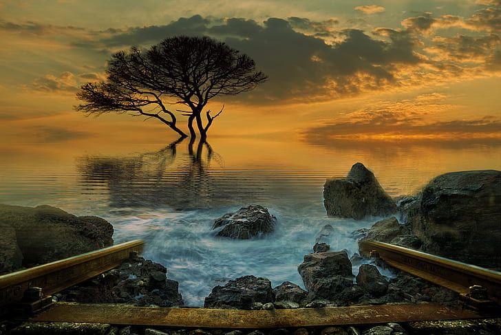 timelapse photography of splashing waves on rocks near tree during golden hour