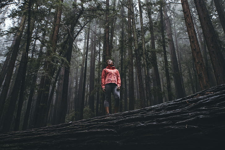 Woman in black hoodie standing on brown wood log near lake during daytime  photo – Free Tumblr girl Image on Unsplash