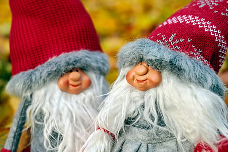 two gnomes plush toys