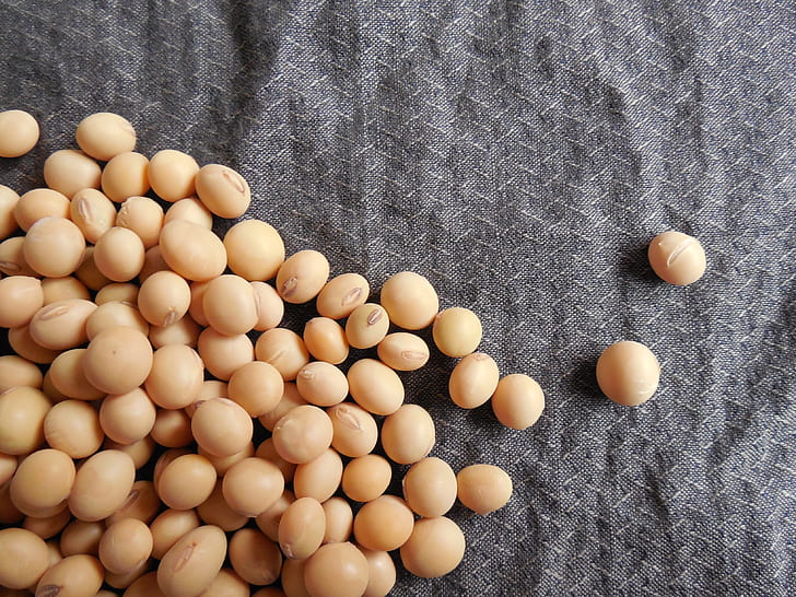 closeup photo of soy beans