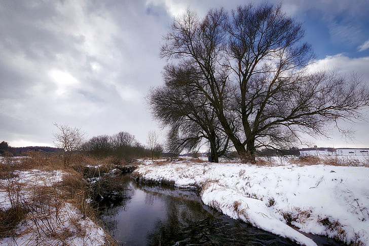 snow covered river near brown bare tree