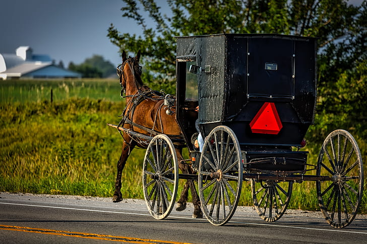 black wooden horse carriage on road during daytime