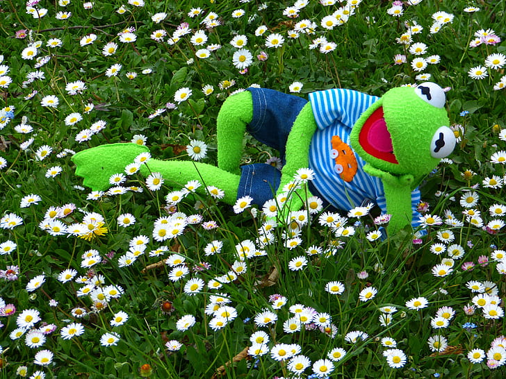 green frog character plush toy on white daisy flower field at daytime