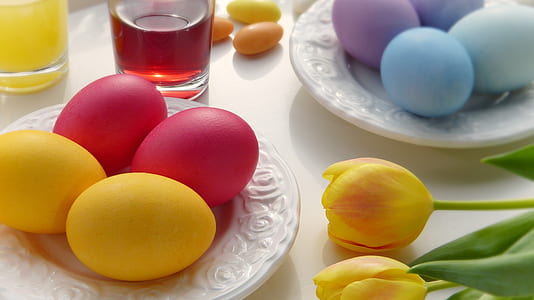 two red and yellow eggs on white saucer beside yellow tulip flower