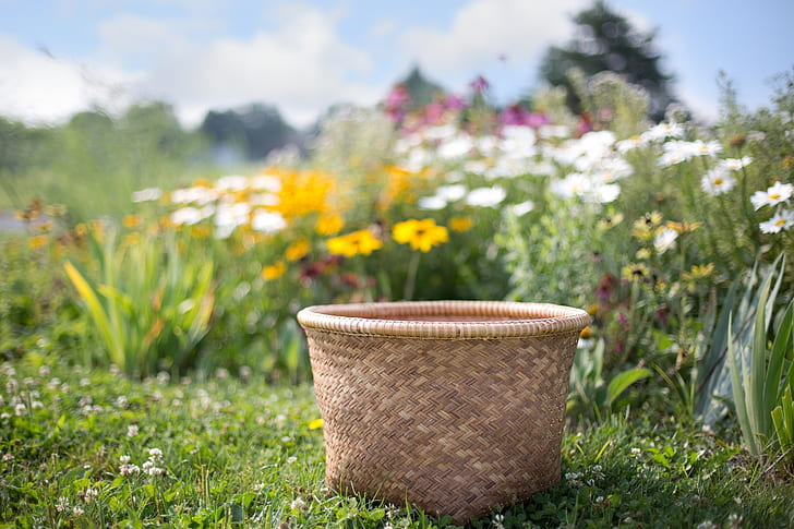 brown woven basket surrounded by flowers under cloudy blue sky