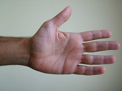 left human palm