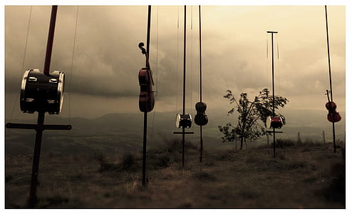 hanging musical instruments above grass field