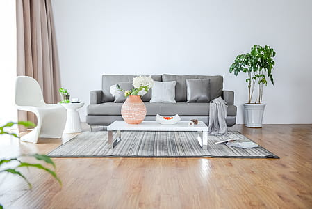 grey sofa on living room