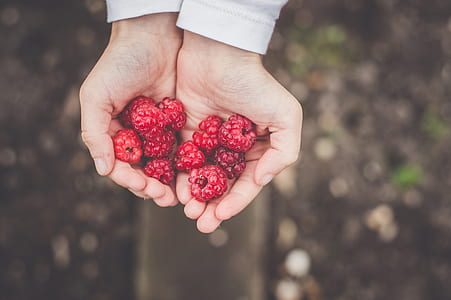 person holding raspberries fruit