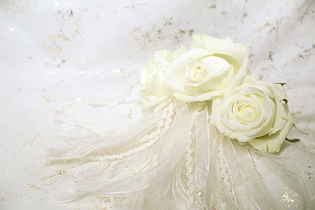 white roses on white textile