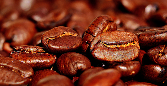 shallow focus photography of coffee beans