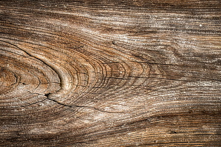 wood, texture, wild, hardwood, interior, wall