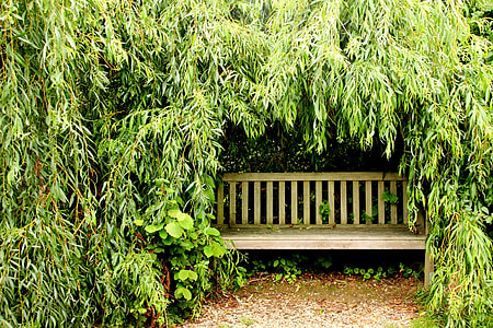 brown wooden bench surrounded by plants