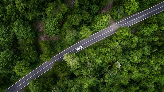 aerial photography of white vehicle on road