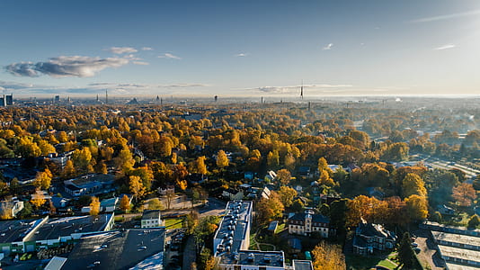 Aerial Photograph of City Buildings and Trees