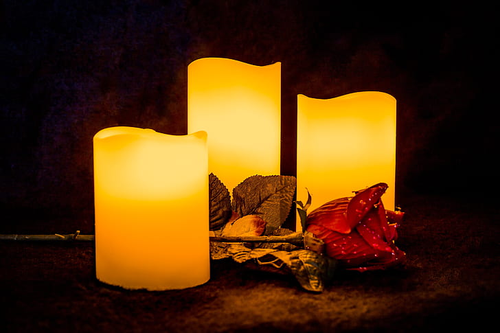 three flameless pillar candles beside flower