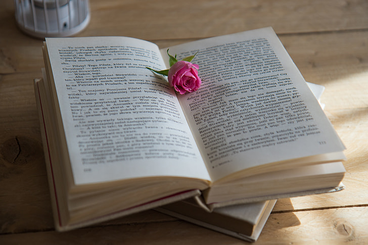 opened book with pink rose on top of it