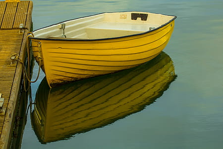 brown and white paddle boat
