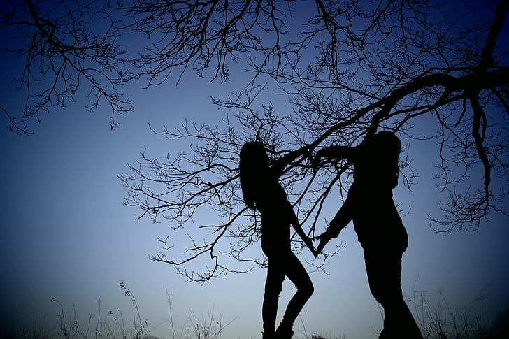 two women silhouette near tree