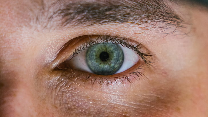 blueish green eye of human