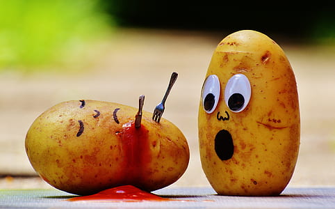 shallow focus of two potatoes art