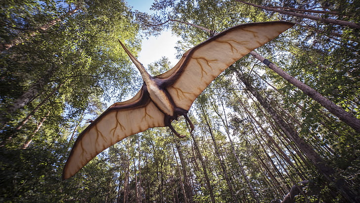 closeup photo of flying dinosaur near trees