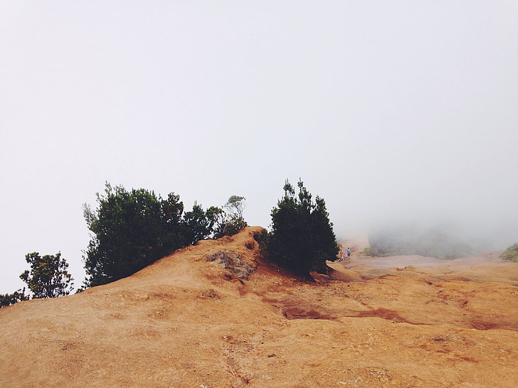 low angle photography of hill with trees and fog during daytime