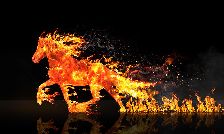horse in flame digital wallpaper