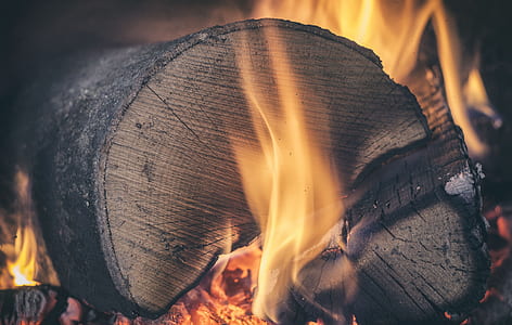 burning firewood stock