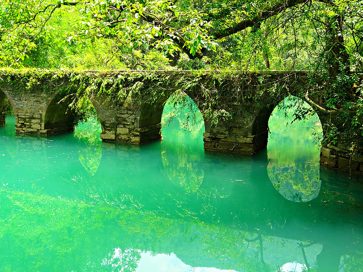 brown bridge with moss on water formation