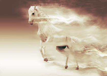 illustration of white horse
