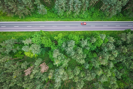Aerial and Symmetric View of a Road in the Woods