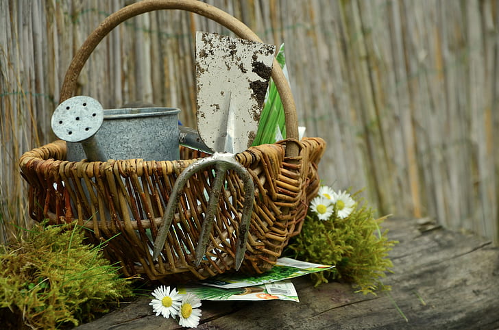 selective focus photograph of wicker basket with watering pot