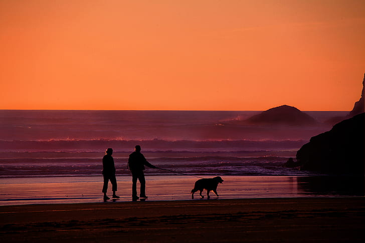 silhouette photo of two people walking beside the beach with dog