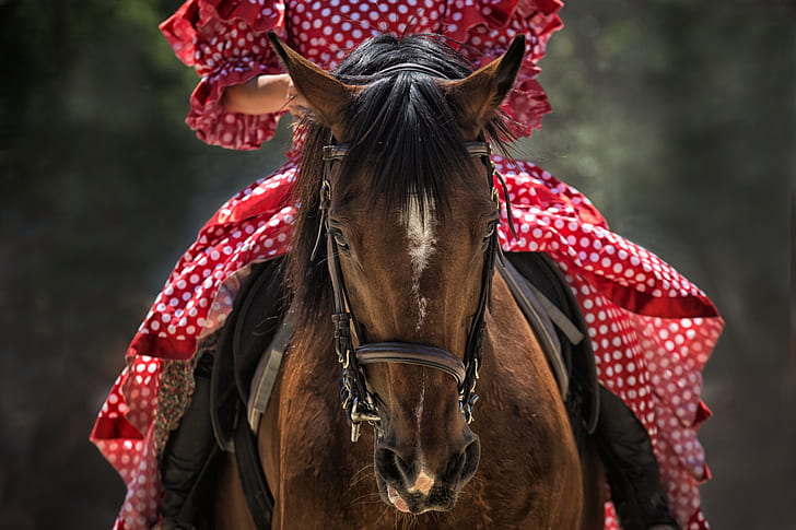 person wearing red and white polka-dot clothes riding on brown and black horse