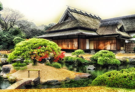 gray and brown wooden house beside pond with plants at daytime
