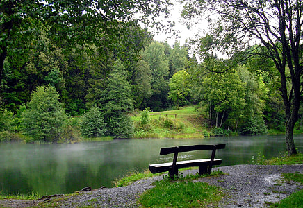 black wooden bench near the creek