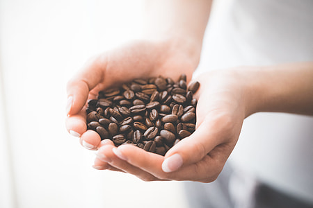 Woman Holding Handful of Roasted Coffee Beans