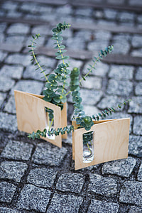 Miniature green plants in small glasses on cobblestone