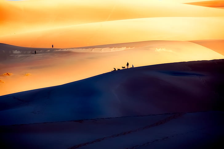 person walking on sand dunes digital wallpaper