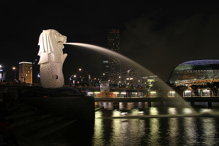 white Lion sculpture water fountain in front of body of water photo during night time