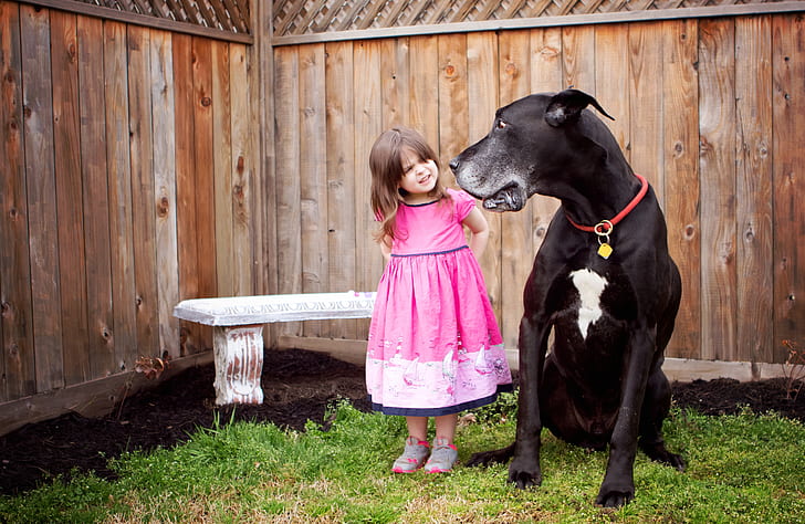 child in pink short-sleeved dress standing next to dog