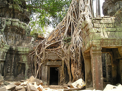 green and brown tribe temple