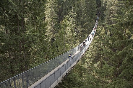 group of people on gray hanging bridge over green leaf trees