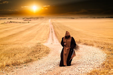 person in brown and black dress walking on road between dried grass field during golden hour
