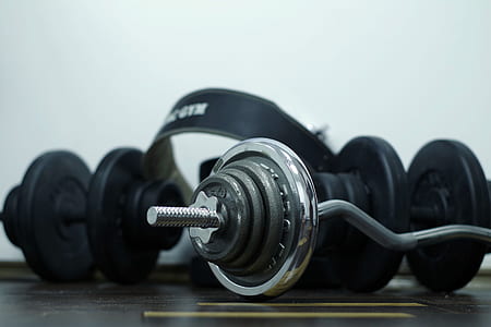photo of black and gray barbell and dumbbell